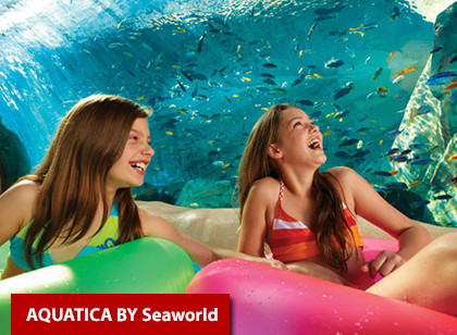 SeaWorld Three Park Ticket 